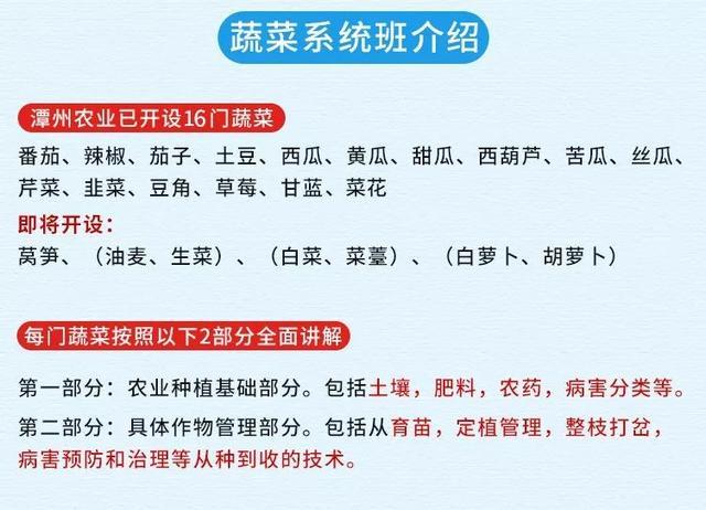 西红柿种植管理技术「种植番茄怎么管理好」 西红柿种植管理技术「种植番茄怎么管理好」 植物种类