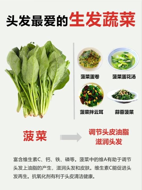 头发毛躁蓬松怎么办「蔬菜种植头发蓬松技巧视频」 头发毛躁蓬松怎么办「蔬菜种植头发蓬松技巧视频」 土壤施肥