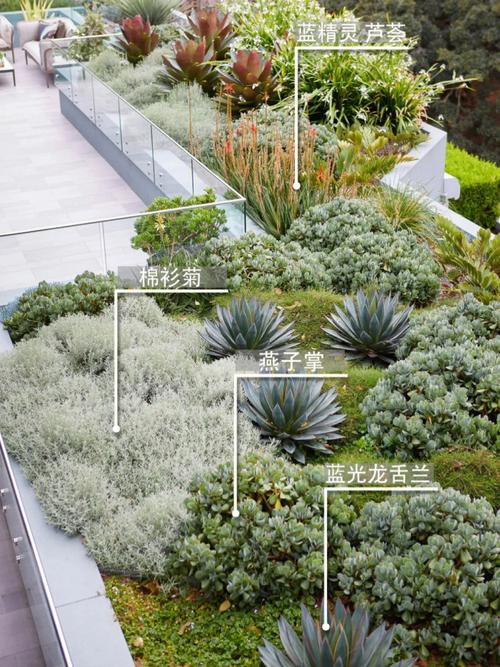 屋顶花园植物配置方案「」 屋顶花园植物配置方案「」 花朵知识