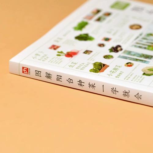 如何种蔬菜「各种蔬菜种植技巧和方法」 如何种蔬菜「各种蔬菜种植技巧和方法」 种植技巧