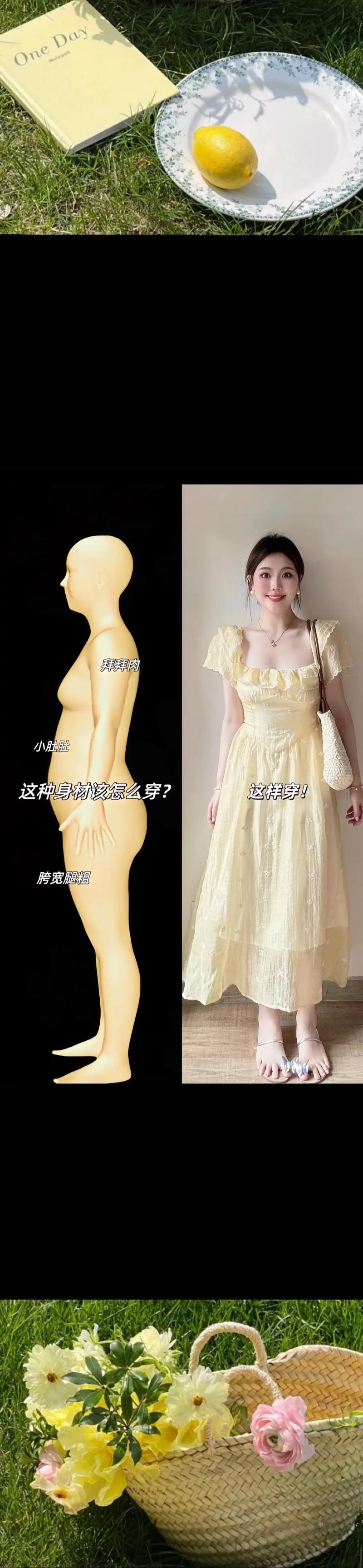 肉肉的女生如何穿出高瘦美「种植番茄怎么开叉快些呢」 肉肉的女生如何穿出高瘦美「种植番茄怎么开叉快些呢」 植物种类