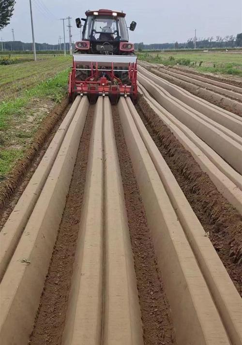 露地蔬菜高产栽培新技术是什么「蔬菜种植高产技巧有哪些呢」 露地蔬菜高产栽培新技术是什么「蔬菜种植高产技巧有哪些呢」 花朵知识