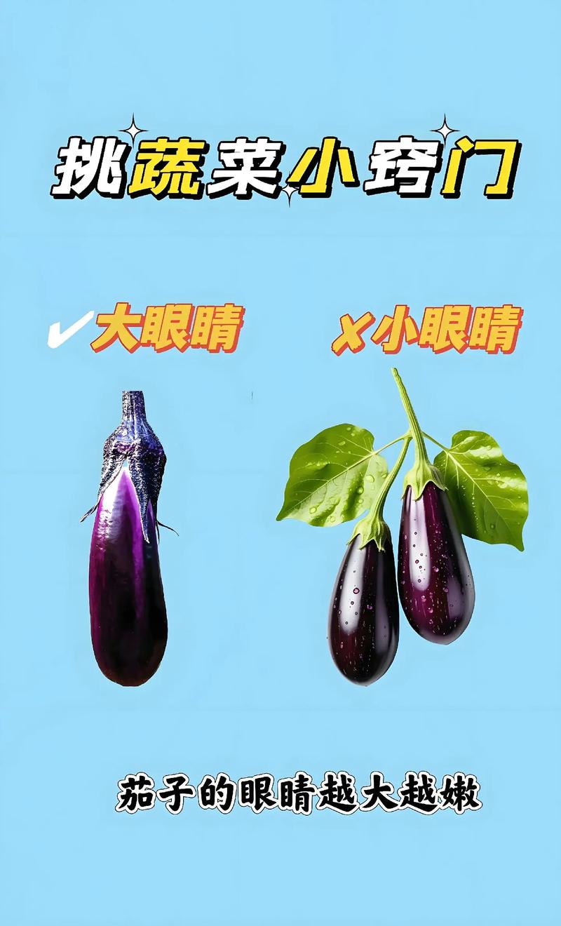 蔬菜种植技巧讲解_蔬菜种植小技巧方法视频教程 蔬菜种植技巧讲解_蔬菜种植小技巧方法视频教程 番茄种植技巧