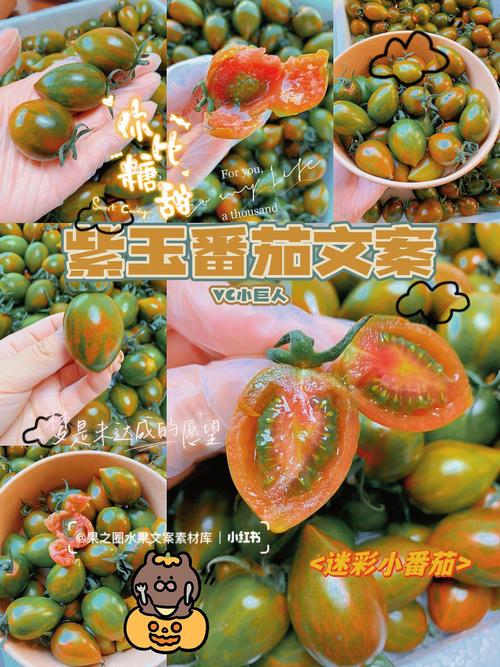 哪位朋友可以帮忙想想，农产品要怎么加工赚钱_栗子怎么种植小番茄文案图片 哪位朋友可以帮忙想想，农产品要怎么加工赚钱_栗子怎么种植小番茄文案图片 番茄种植技巧