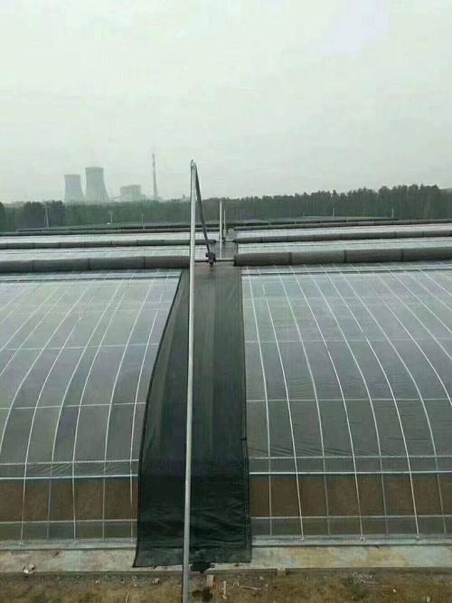 冬春交替季节，暖棚蔬菜如何管理_冬春蔬菜种植技巧视频 冬春交替季节，暖棚蔬菜如何管理_冬春蔬菜种植技巧视频 花朵知识