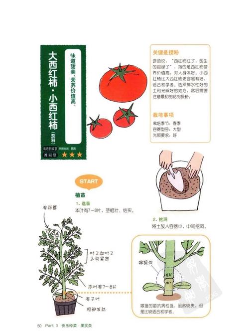 番茄视频怎么样好用吗_番茄怎么种植技巧视频教程 番茄视频怎么样好用吗_番茄怎么种植技巧视频教程 番茄病虫害防治