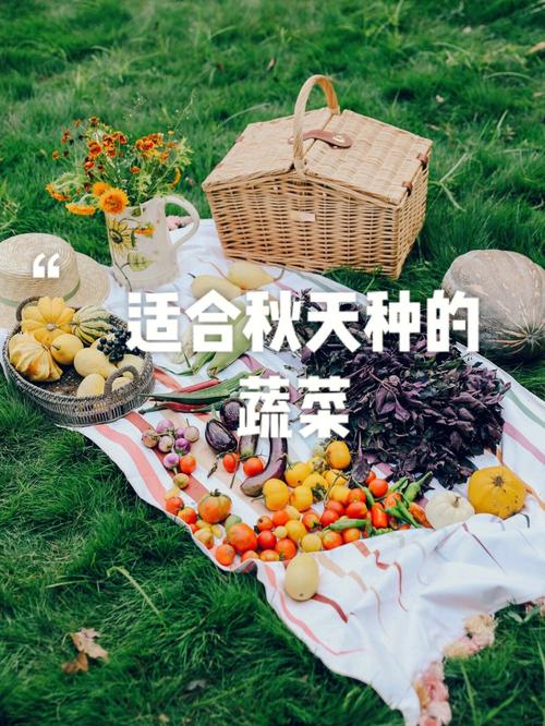 秋天种植菜时间和方法_秋天蔬菜种植小技巧简单视频 秋天种植菜时间和方法_秋天蔬菜种植小技巧简单视频 土壤施肥