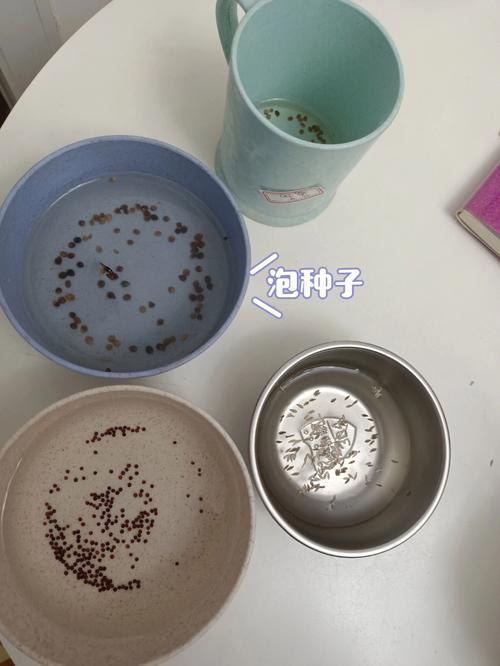 想听听各位吹牛被拆穿的经历？能否分享一下_番茄种植技术视频播放 想听听各位吹牛被拆穿的经历？能否分享一下_番茄种植技术视频播放 土壤施肥