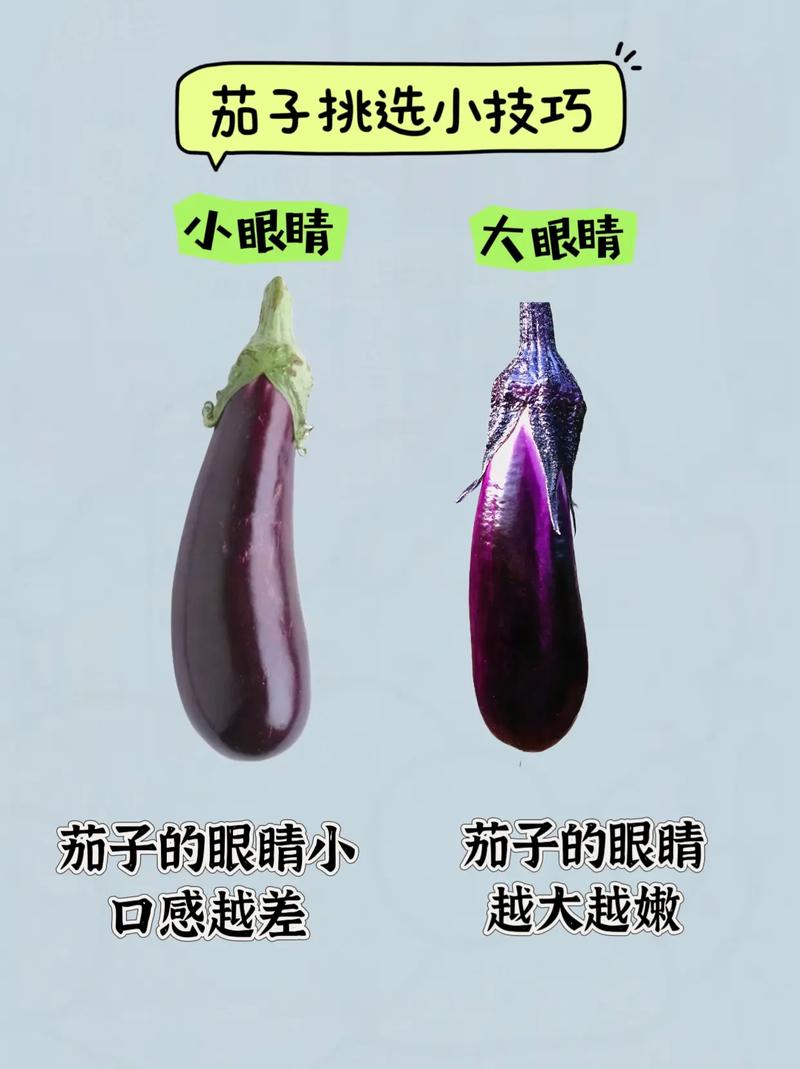 京东水果店运营技巧_瓜果类蔬菜种植技巧视频教程 京东水果店运营技巧_瓜果类蔬菜种植技巧视频教程 花朵知识