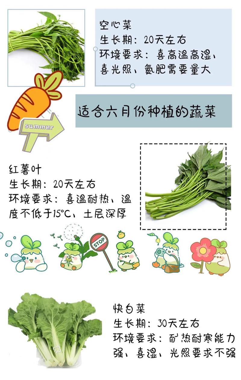 2020年春季适合播种哪些蔬菜，蔬菜种植注意事项又有哪些呢_蔬菜种植技巧及用肥视频教程 2020年春季适合播种哪些蔬菜，蔬菜种植注意事项又有哪些呢_蔬菜种植技巧及用肥视频教程 番茄病虫害防治