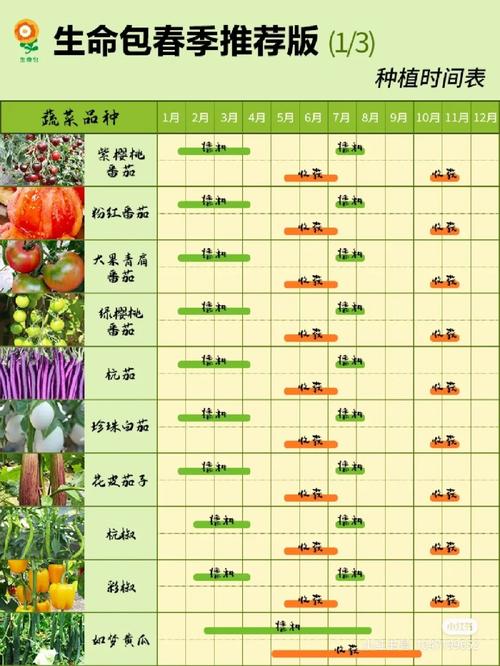 哪些水果蔬菜种植简单，易成活，很快结果的_蔬菜种植技巧结果多久出来 哪些水果蔬菜种植简单，易成活，很快结果的_蔬菜种植技巧结果多久出来 土壤施肥