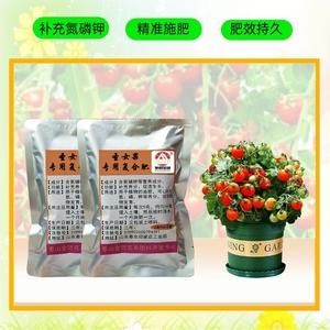 阳台种圣女果施什么肥_阳台种植番茄肥料怎么用的 阳台种圣女果施什么肥_阳台种植番茄肥料怎么用的 土壤施肥
