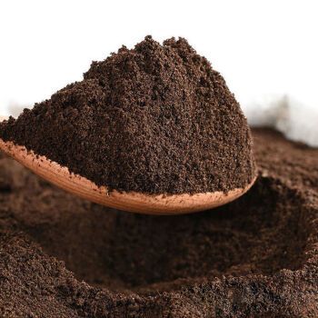 种番茄亩施多少方牛粪_牛粪怎么种菜 种番茄亩施多少方牛粪_牛粪怎么种菜 种植技巧