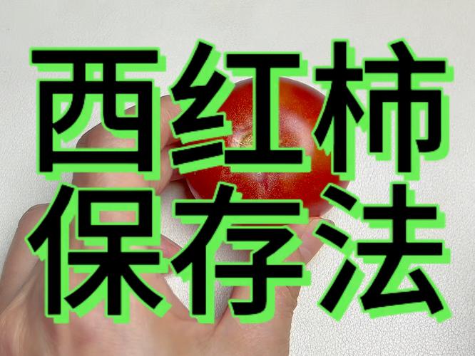 生腌西红柿的储存方法_番茄种植后怎么保管存放时间长 生腌西红柿的储存方法_番茄种植后怎么保管存放时间长 番茄种植技巧
