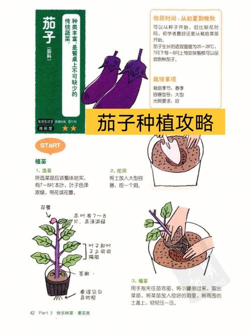 冬天种菜的正确方法_冬季蔬菜种植管理技巧和方法 冬天种菜的正确方法_冬季蔬菜种植管理技巧和方法 土壤施肥