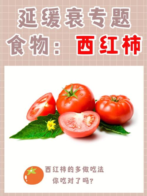 西红柿榨汁的正确方法_酸奶求生番茄怎么种植的 西红柿榨汁的正确方法_酸奶求生番茄怎么种植的 花朵知识