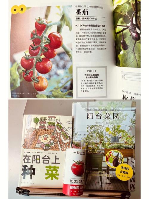 番茄小说怎么弄成视频版_番茄怎么种植土壤视频教程 番茄小说怎么弄成视频版_番茄怎么种植土壤视频教程 土壤施肥