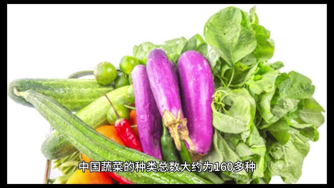 个体蔬菜店经营模式_蔬菜种植六个小技巧视频教程 个体蔬菜店经营模式_蔬菜种植六个小技巧视频教程 番茄种植技巧