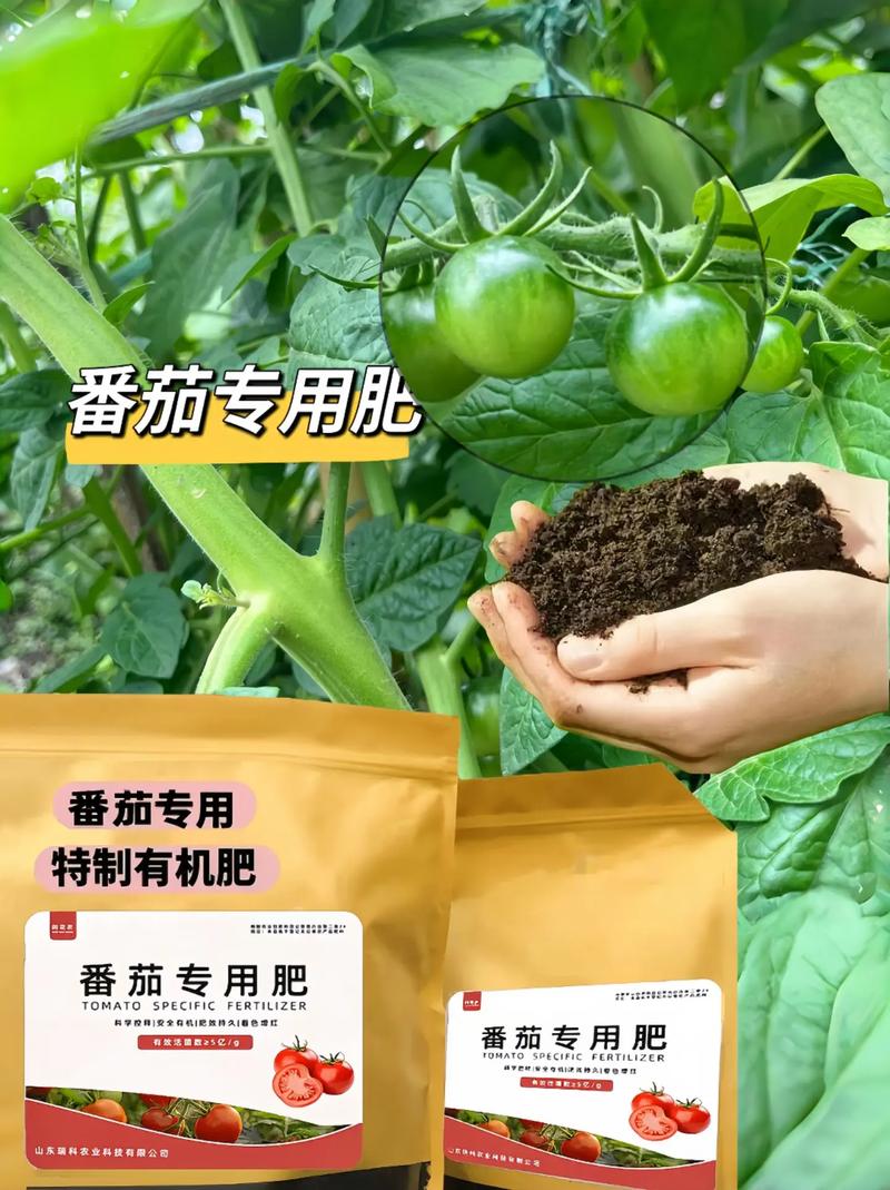 西红柿的种植与施肥和浇水_种植番茄应该怎么管理土壤呢 西红柿的种植与施肥和浇水_种植番茄应该怎么管理土壤呢 花朵知识