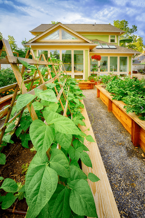 菜园子里各种蔬菜的种植方法_蔬菜种植技巧合集图片大全 菜园子里各种蔬菜的种植方法_蔬菜种植技巧合集图片大全 种植技巧