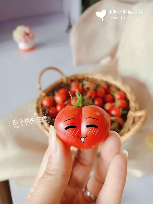 红圣女小番茄种植方法_红番茄怎么种植方法 红圣女小番茄种植方法_红番茄怎么种植方法 土壤施肥