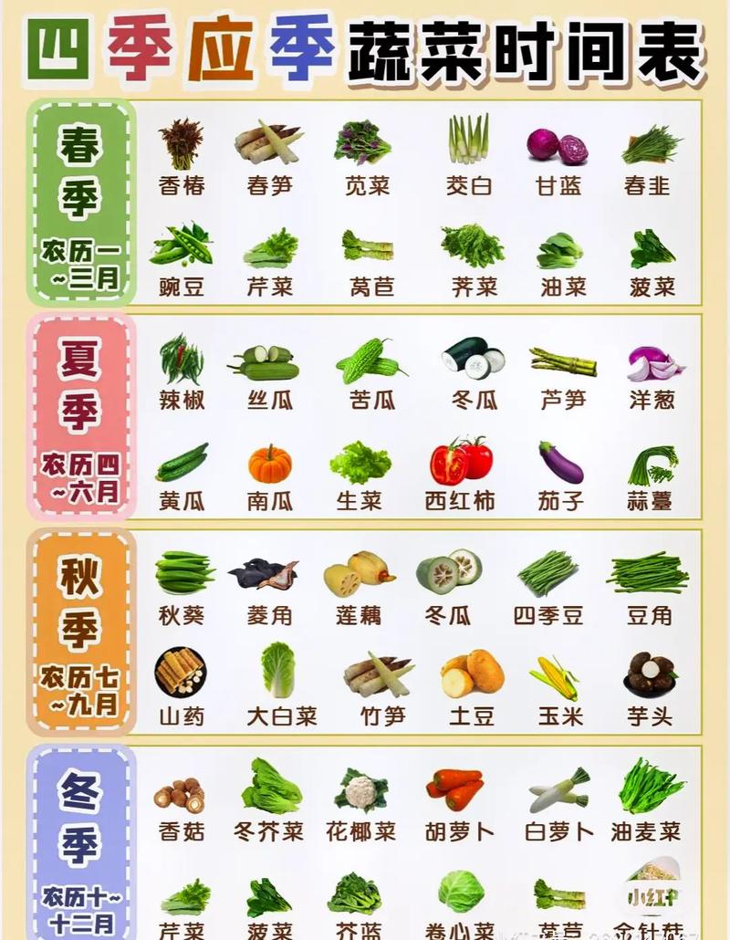 应季蔬菜菜谱推荐_应季蔬菜种植小技巧视频 应季蔬菜菜谱推荐_应季蔬菜种植小技巧视频 种植技巧