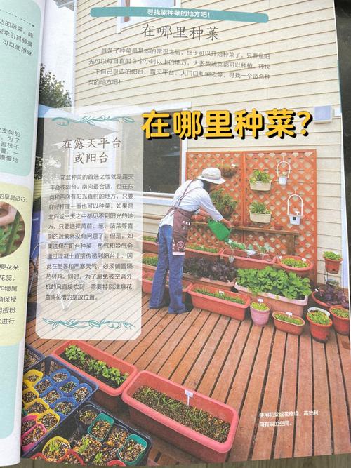 在家庭室内种植蔬菜要注意哪些问题_室内蔬菜种植技术技巧视频 在家庭室内种植蔬菜要注意哪些问题_室内蔬菜种植技术技巧视频 土壤施肥