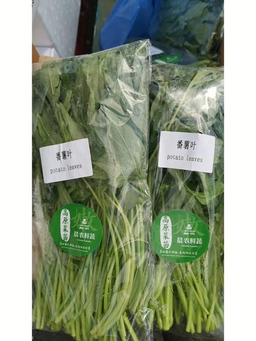 番薯粉广东做法_镇江番茄在家怎么种植的 植物种类 番薯粉广东做法_镇江番茄在家怎么种植的 番薯粉广东做法_镇江番茄在家怎么种植的 植物种类