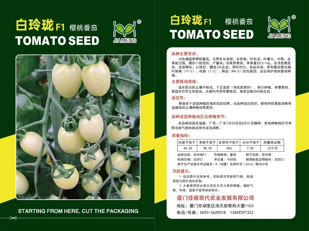12月份福建适合种什么菜_福建露天怎么种植番茄种子 12月份福建适合种什么菜_福建露天怎么种植番茄种子 番茄病虫害防治