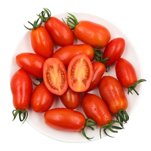 你觉得陕北最好的美食是什么_红土怎么种植番茄种子视频 你觉得陕北最好的美食是什么_红土怎么种植番茄种子视频 土壤施肥