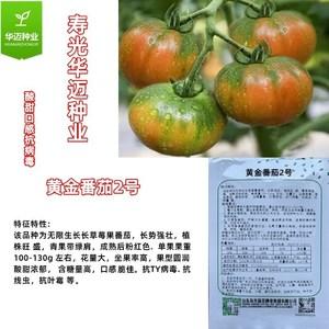 黄金籽西红柿介绍_黄金番茄怎么种植的好看图片 黄金籽西红柿介绍_黄金番茄怎么种植的好看图片 农业常识