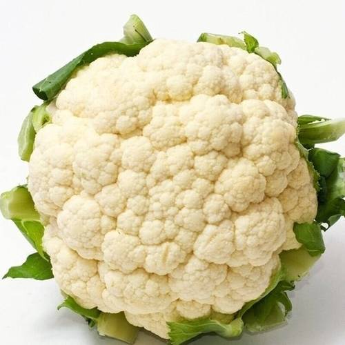 大鹏美丽乡村介绍_深圳有机蔬菜专卖店 大鹏美丽乡村介绍_深圳有机蔬菜专卖店 植物种类