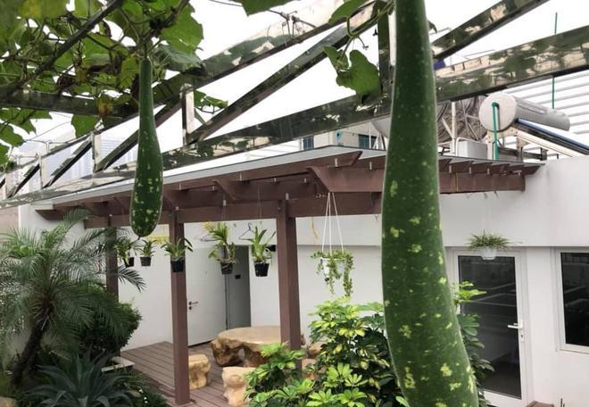 房前绿化带怎么设计_楼顶蔬菜种植技术 土壤施肥 房前绿化带怎么设计_楼顶蔬菜种植技术 房前绿化带怎么设计_楼顶蔬菜种植技术 土壤施肥