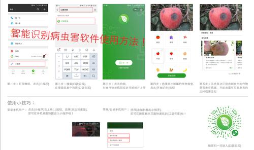 人工智能怎么给农作物看病_智能蔬菜种植小技巧视频教程 人工智能怎么给农作物看病_智能蔬菜种植小技巧视频教程 花朵知识