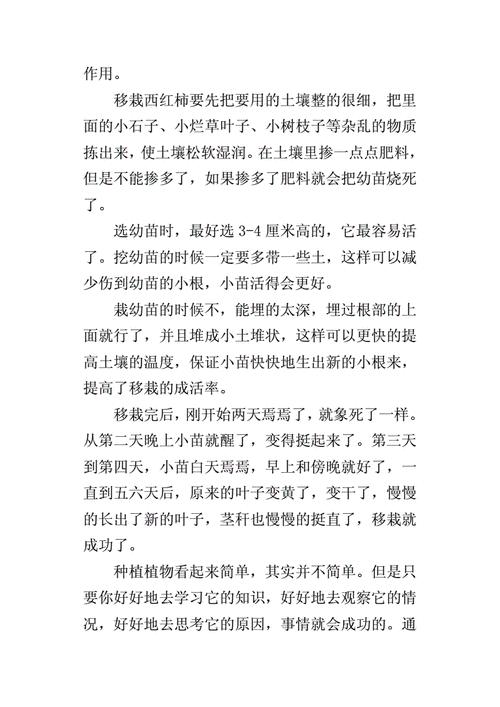 番茄怎么种植口感会比较甜_种植番茄活动总结怎么写范文 番茄怎么种植口感会比较甜_种植番茄活动总结怎么写范文 花朵知识