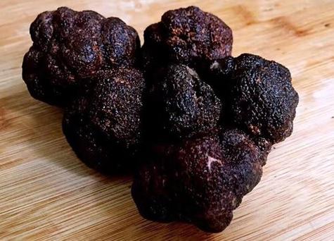 西红柿黑钻石种子怎么种植_黑色番茄苗怎么种植视频 植物种类 西红柿黑钻石种子怎么种植_黑色番茄苗怎么种植视频 西红柿黑钻石种子怎么种植_黑色番茄苗怎么种植视频 植物种类
