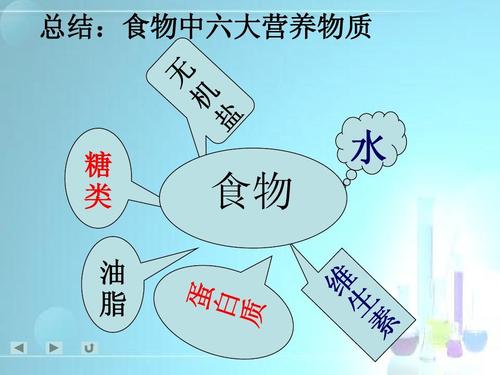 吃饭时候怎么吃会更好吸收食物中营养_怎么种植番茄教案中班 吃饭时候怎么吃会更好吸收食物中营养_怎么种植番茄教案中班 番茄种植技巧
