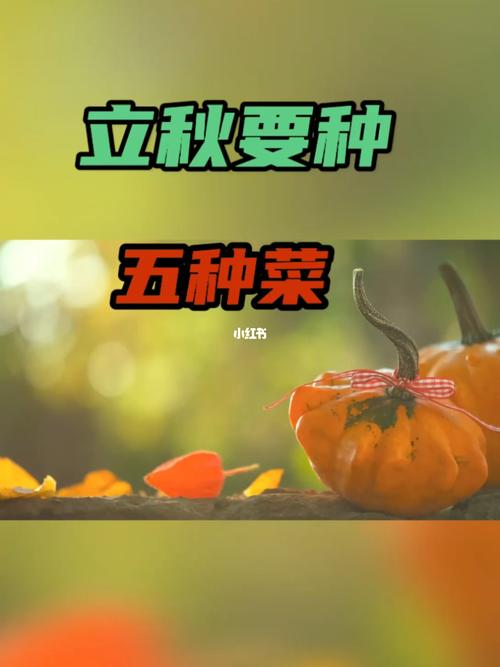 7月，大暑、立秋节气期间哪些蔬菜可以放心种_蔬菜种植小技巧三农是指什么 7月，大暑、立秋节气期间哪些蔬菜可以放心种_蔬菜种植小技巧三农是指什么 土壤施肥