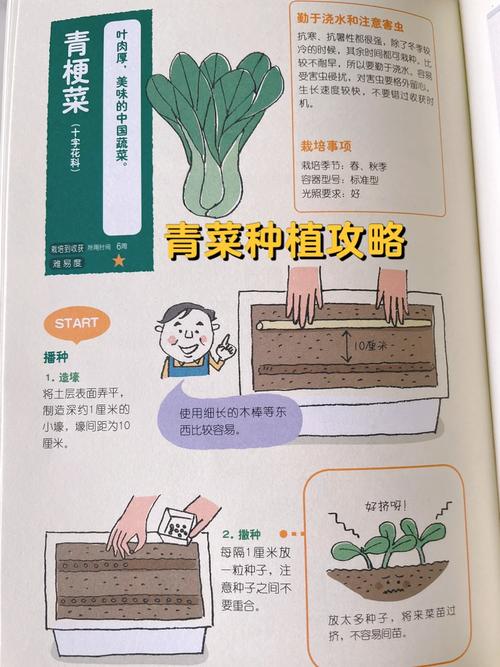 上海青怎么栽培_上海蔬菜种植技巧和方法视频 上海青怎么栽培_上海蔬菜种植技巧和方法视频 番茄种植技巧