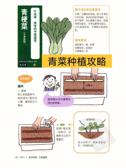 蔬菜立体种植有什么方式_蔬菜种植技巧原理图示图片 蔬菜立体种植有什么方式_蔬菜种植技巧原理图示图片 植物种类