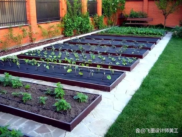 小庭院怎么种菜_庭院蔬菜种植技巧和方法 小庭院怎么种菜_庭院蔬菜种植技巧和方法 土壤施肥