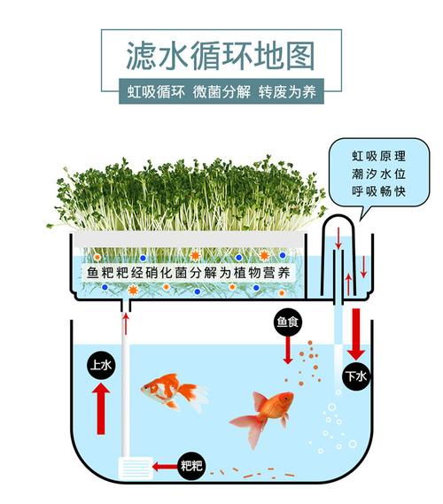 鱼菜共生可以养些什么_蔬菜种植小技巧合集视频教程 鱼菜共生可以养些什么_蔬菜种植小技巧合集视频教程 番茄种植技巧