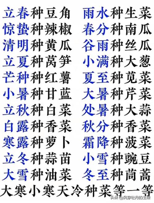 卖菜技巧和口诀_蔬菜种植技巧顺口溜大全 卖菜技巧和口诀_蔬菜种植技巧顺口溜大全 番茄种植技巧