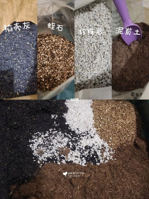 草莓基质土和西红柿基质土里分别加什么缓释肥比较好_番茄草莓盆栽怎么种植的视频 草莓基质土和西红柿基质土里分别加什么缓释肥比较好_番茄草莓盆栽怎么种植的视频 农业常识