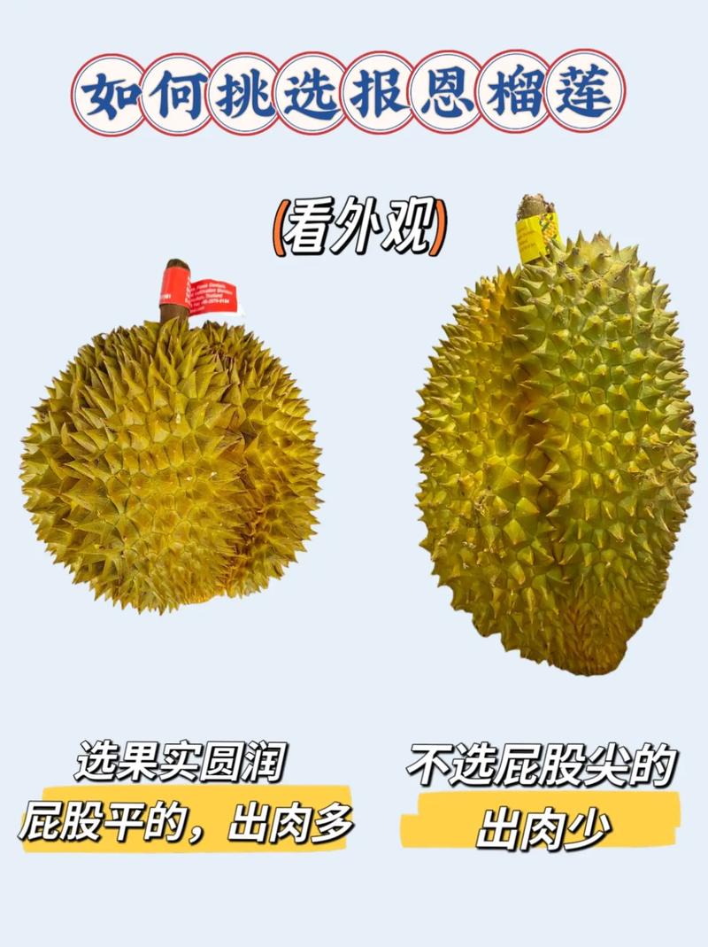 卖水果和蔬菜怎么才能吸引顾客_蔬菜种植推广技巧有哪些方面 卖水果和蔬菜怎么才能吸引顾客_蔬菜种植推广技巧有哪些方面 种植技巧