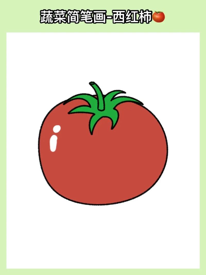 幼儿画画西红柿_怎么种植小番茄画画图片 幼儿画画西红柿_怎么种植小番茄画画图片 种植技巧