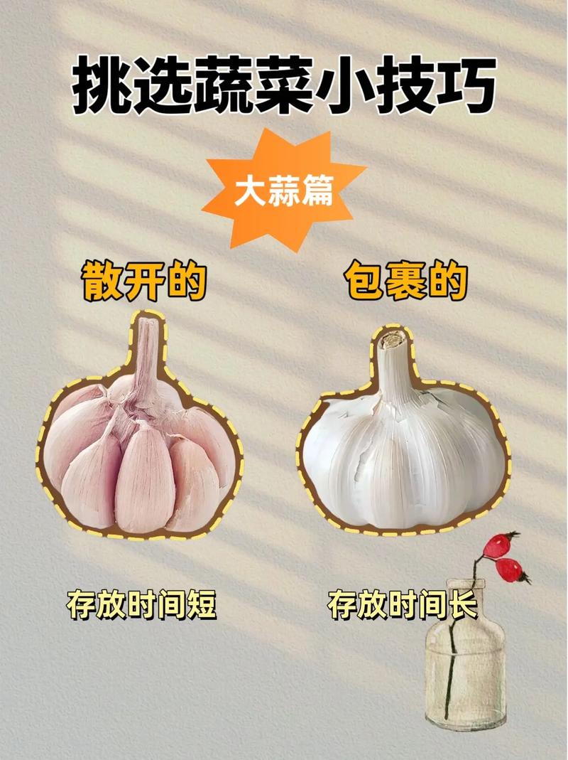 如何利用气候资源发展高山蔬菜水果种植_常见水果蔬菜种植小技巧有哪些 如何利用气候资源发展高山蔬菜水果种植_常见水果蔬菜种植小技巧有哪些 种植技巧