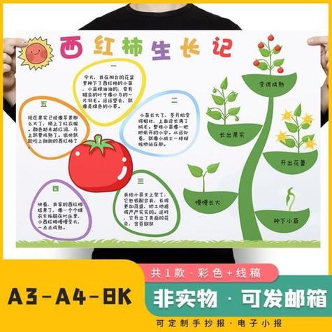做炸酱面观察日记四年级三百字_小苗番茄种植日记怎么写的 做炸酱面观察日记四年级三百字_小苗番茄种植日记怎么写的 番茄种植技巧