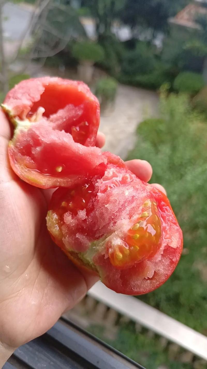 为什么自己种的番茄是酸的_自己种的番茄很酸 为什么自己种的番茄是酸的_自己种的番茄很酸 种植技巧