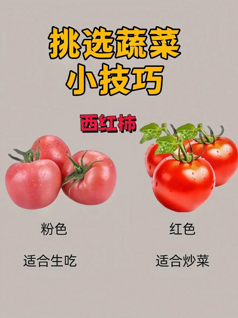 宿舍西红柿怎么保存_宿舍蔬菜种植小技巧大全图片 宿舍西红柿怎么保存_宿舍蔬菜种植小技巧大全图片 农业常识